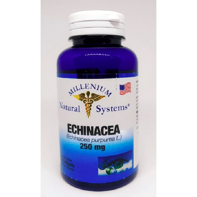 ECHINACEA X 60 CÁPSULAS – NATURAL SYSTEMS